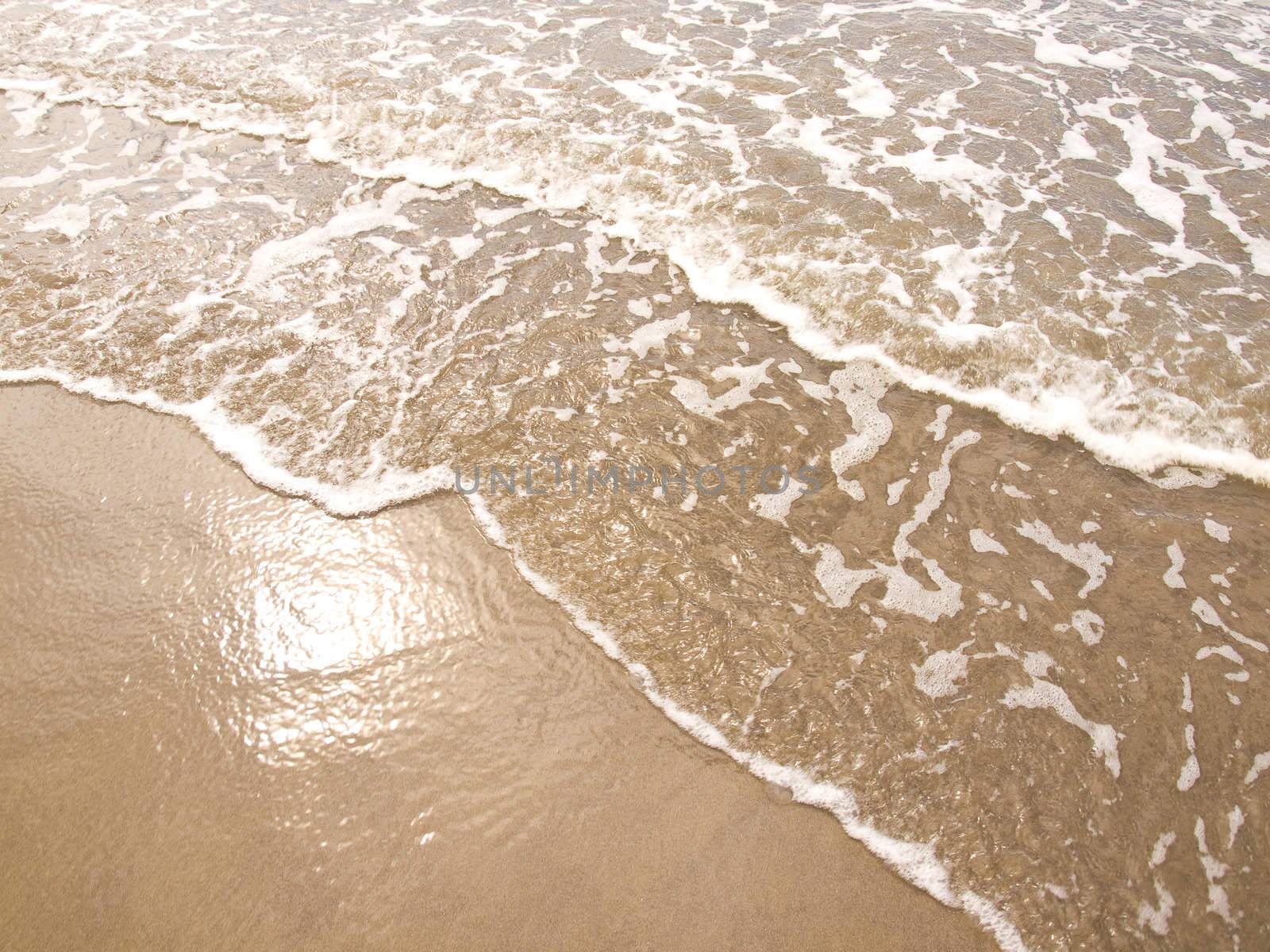 Foamy Ocean Shoreline at a Sunny Beach 