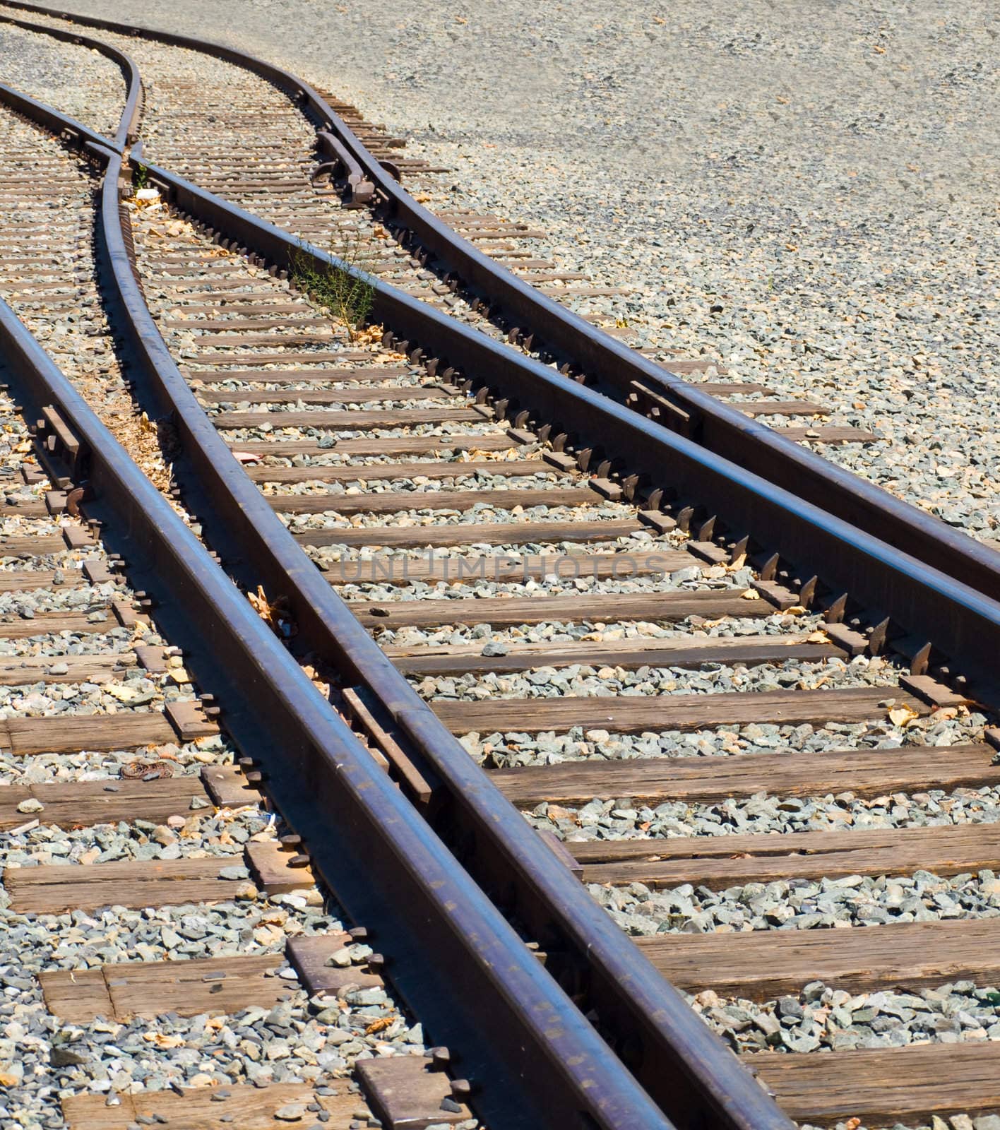 Old Railroad Tracks at a Junction on a Sunny Day