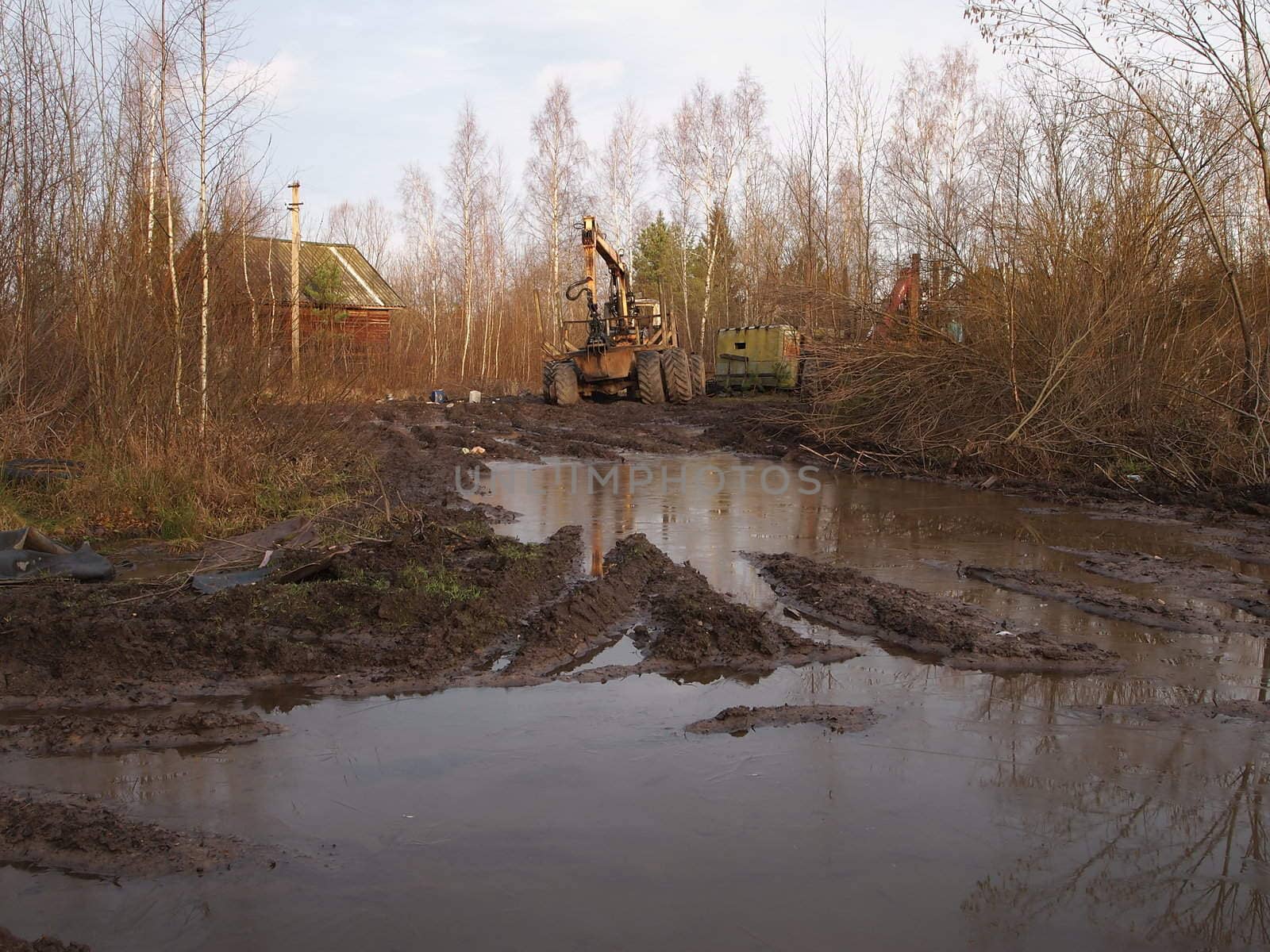 timber transport for the export of timber from the forest