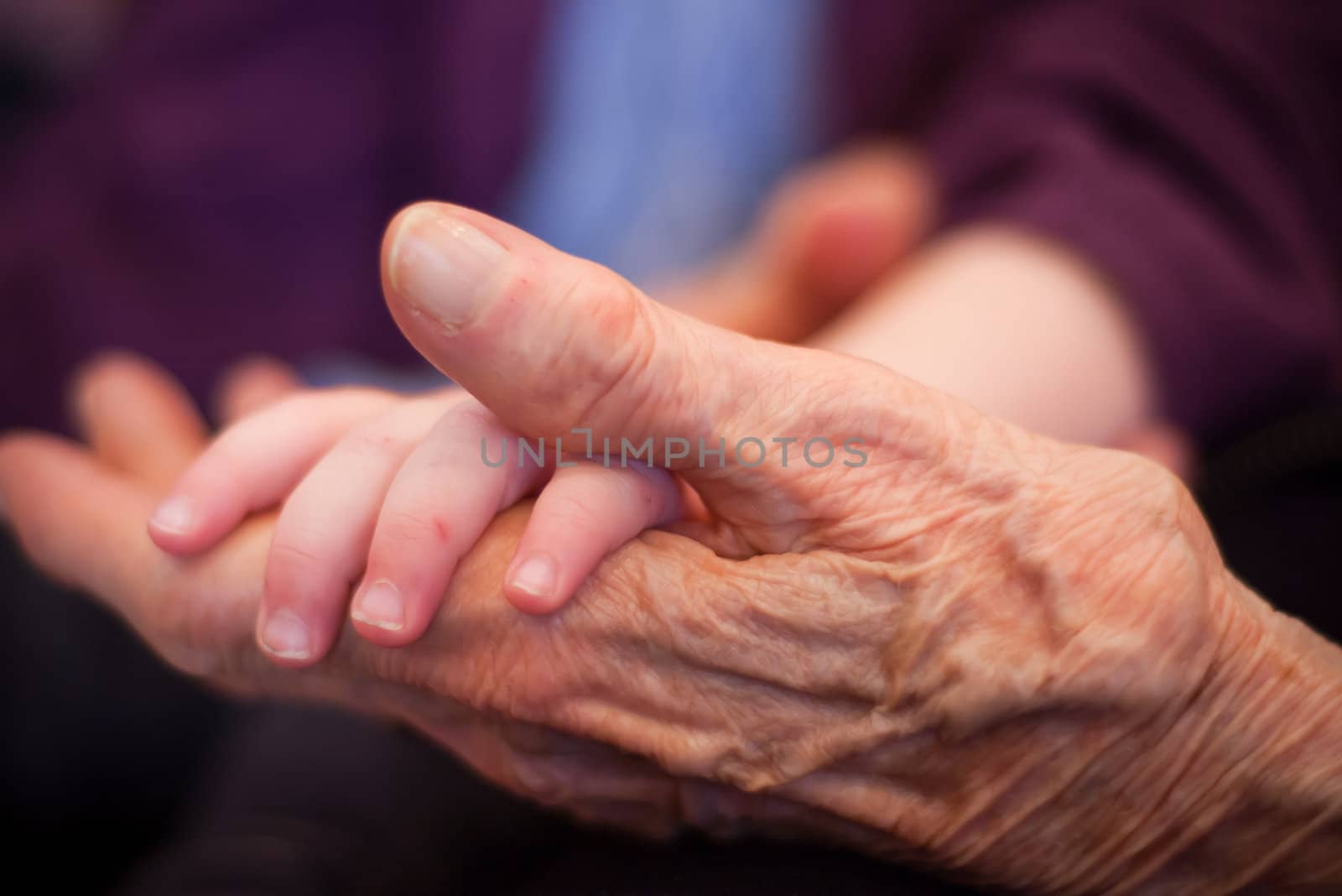 an old hand holding a baby hand