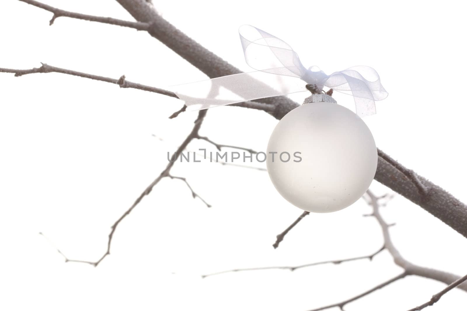 white christmas ornament hanging on a tree with white background