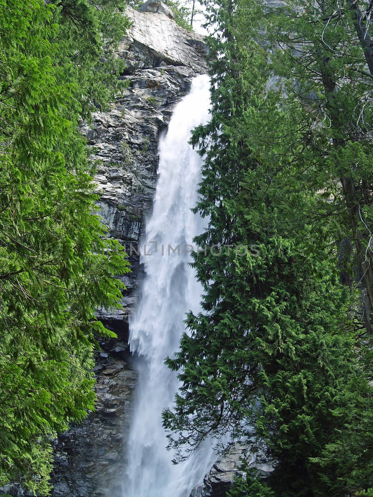 Beautiful Mountain Waterfall Surrounded by Wooded Wilderness