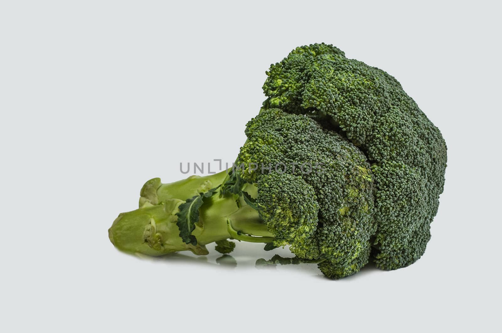 Broccoli