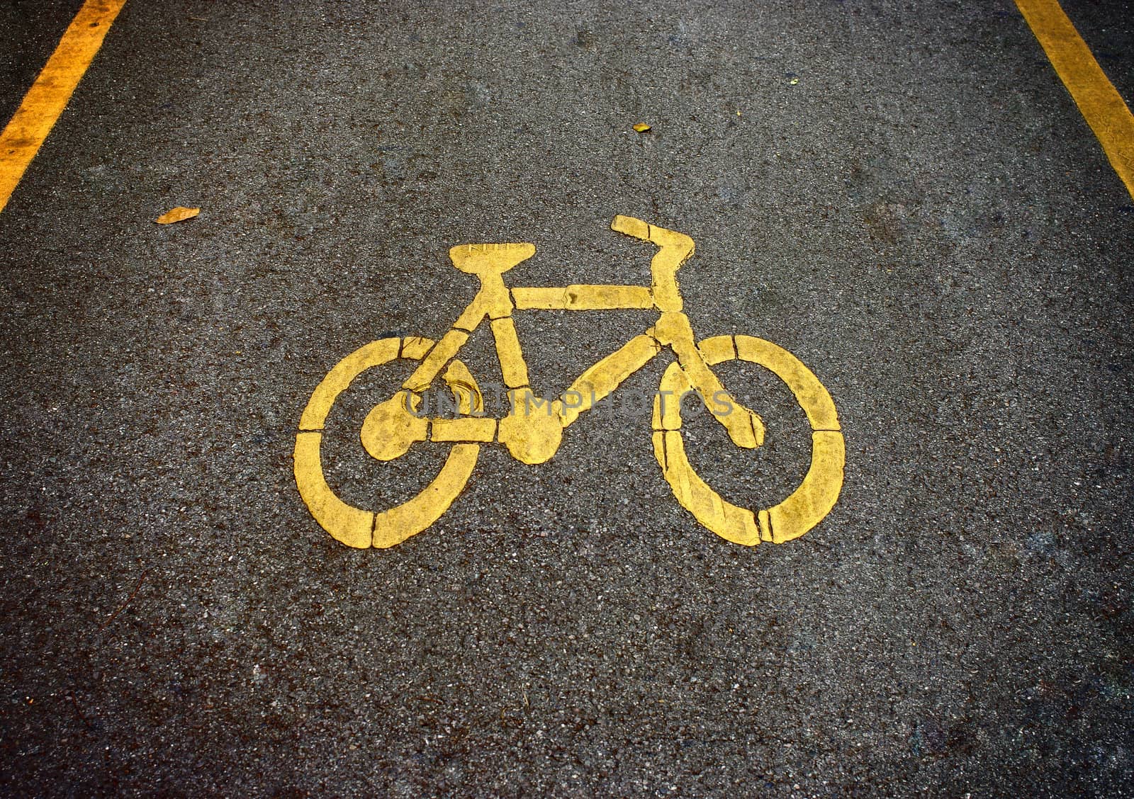 Bike lanes, Bicycle symbol on road