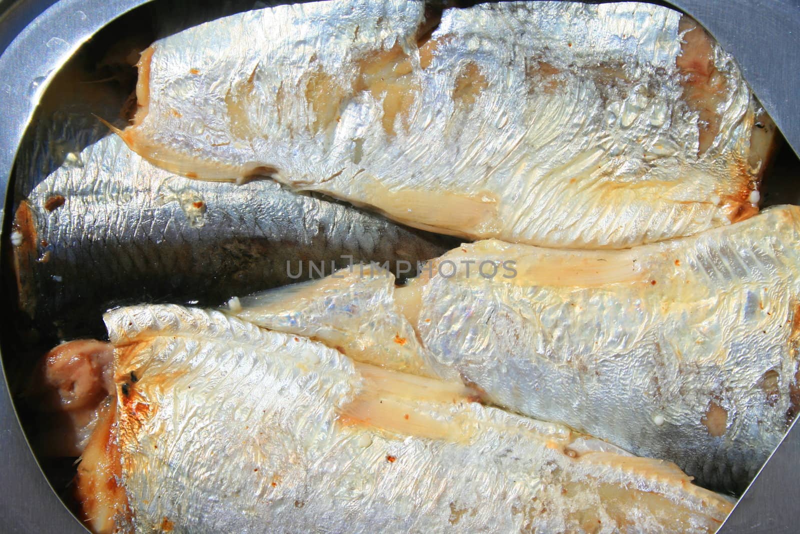 Close up of sardines in a can.
