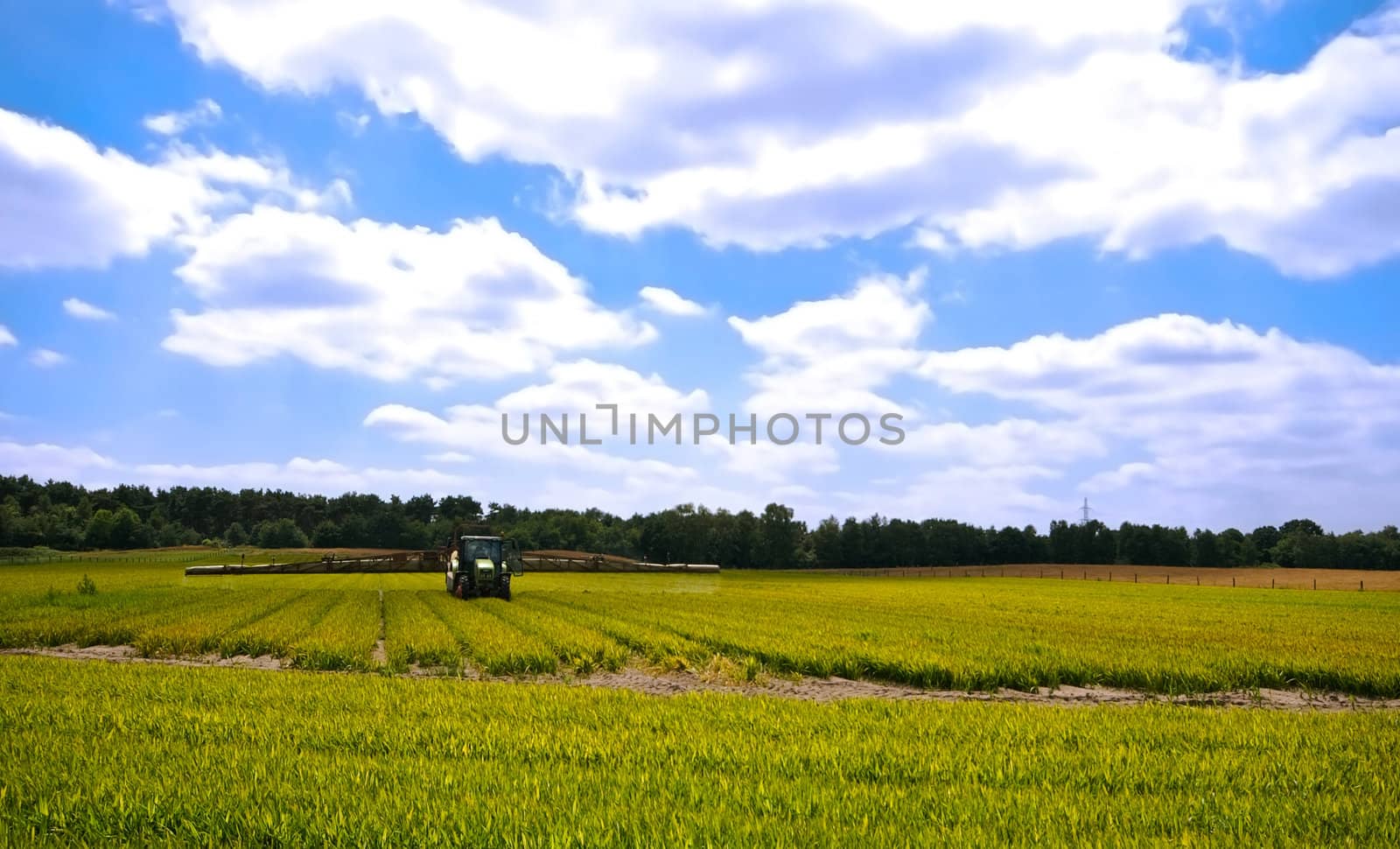 bright green agriculture farmland   by karinclaus