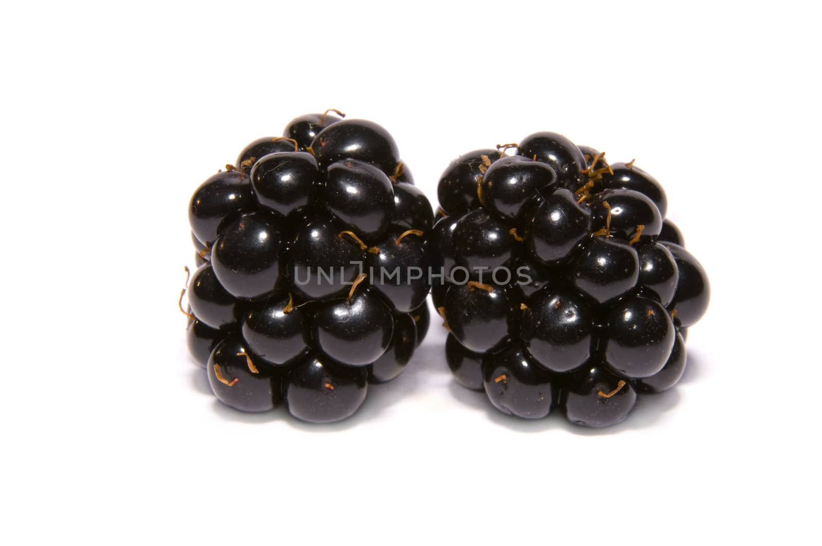 two  blackberries   by karinclaus