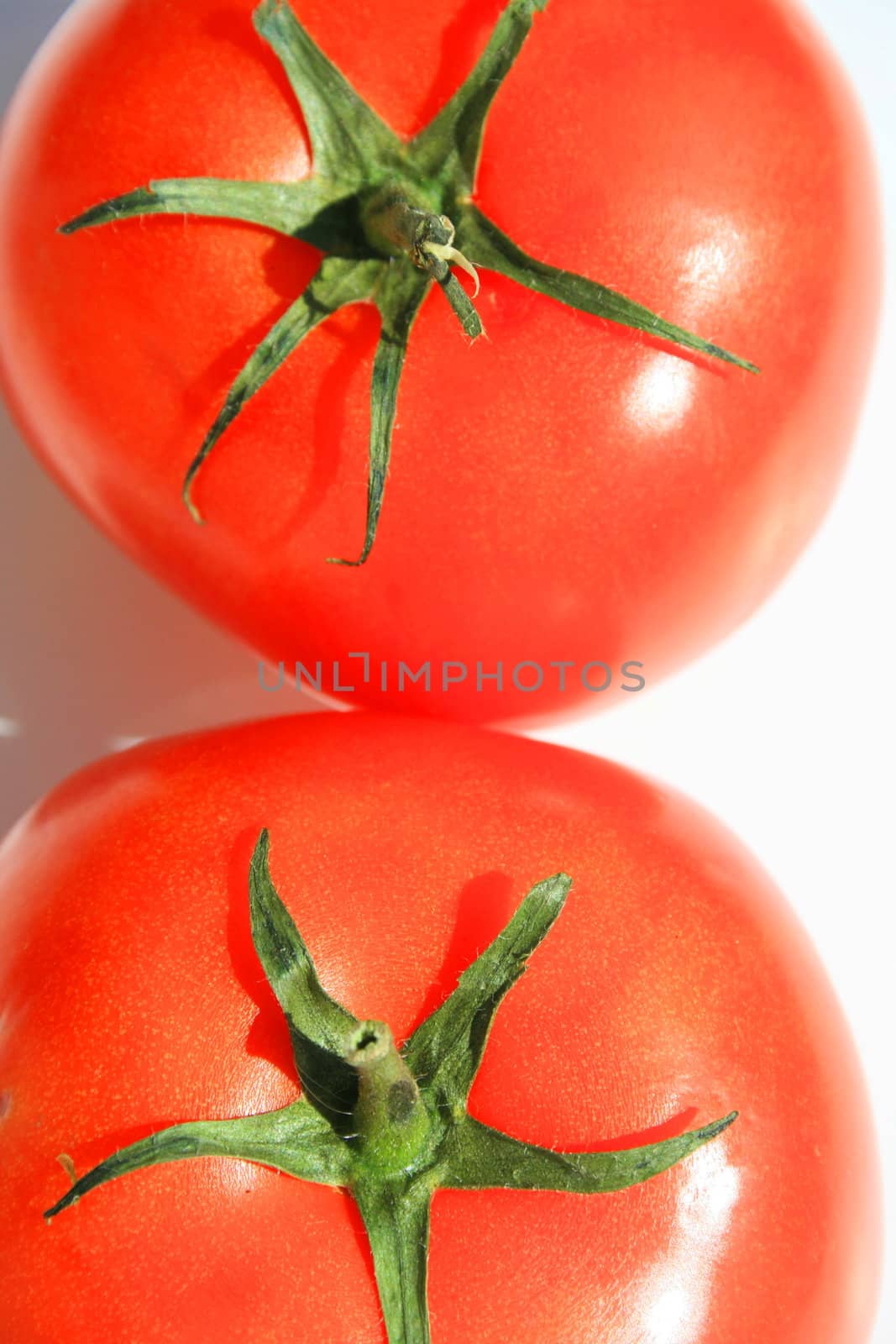 Close up of the red tomatos on a white background.
