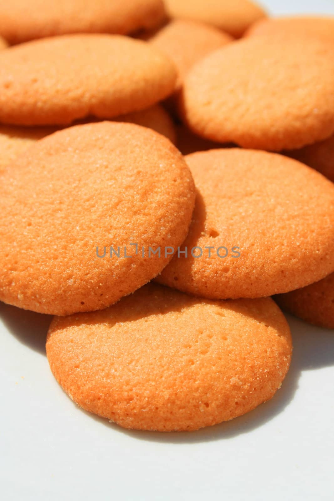 Close up of vanilla cookies on a plate.
