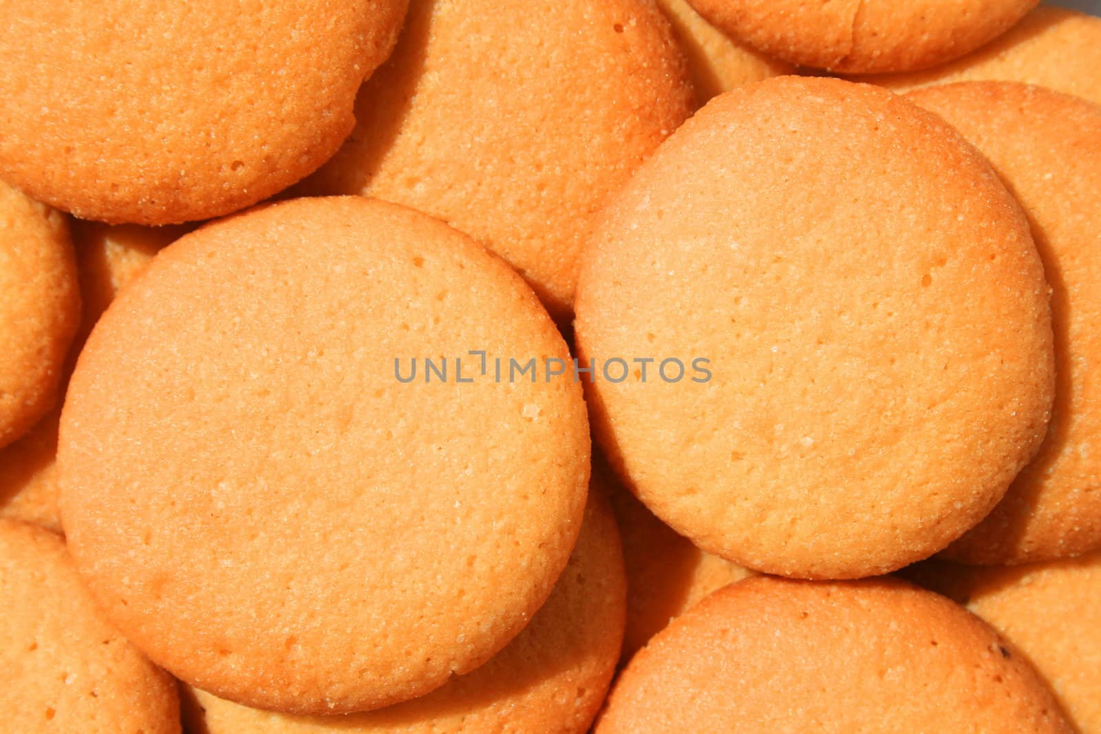 Close up of vanilla cookies on a plate.
