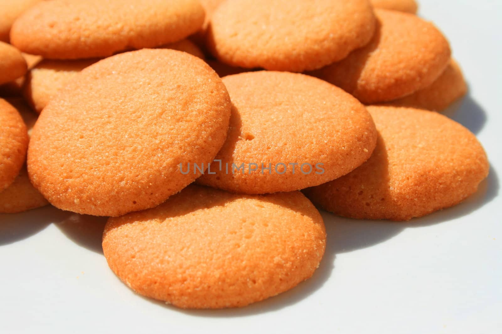 Close up of vanilla cookies on a plate.
