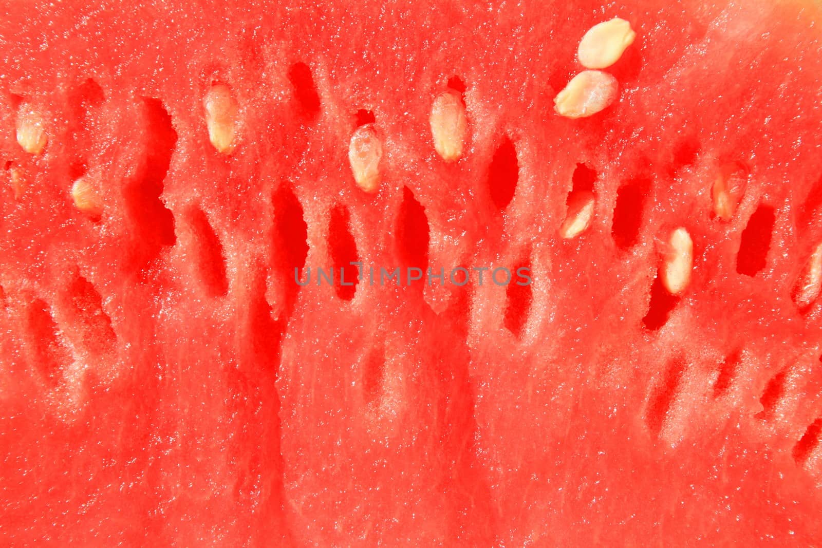 Close up of a big watermelon.
