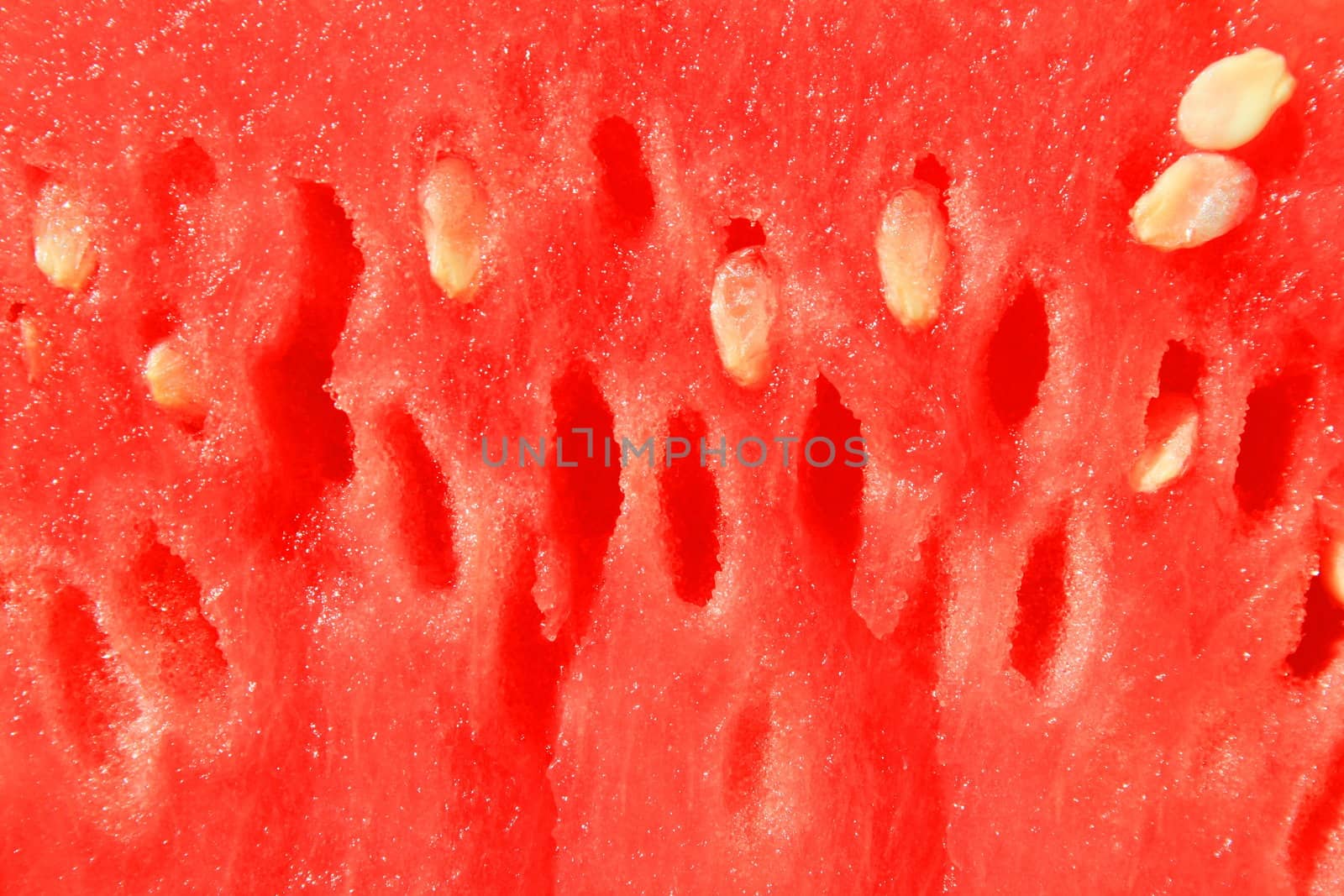 Close up of a big watermelon.
