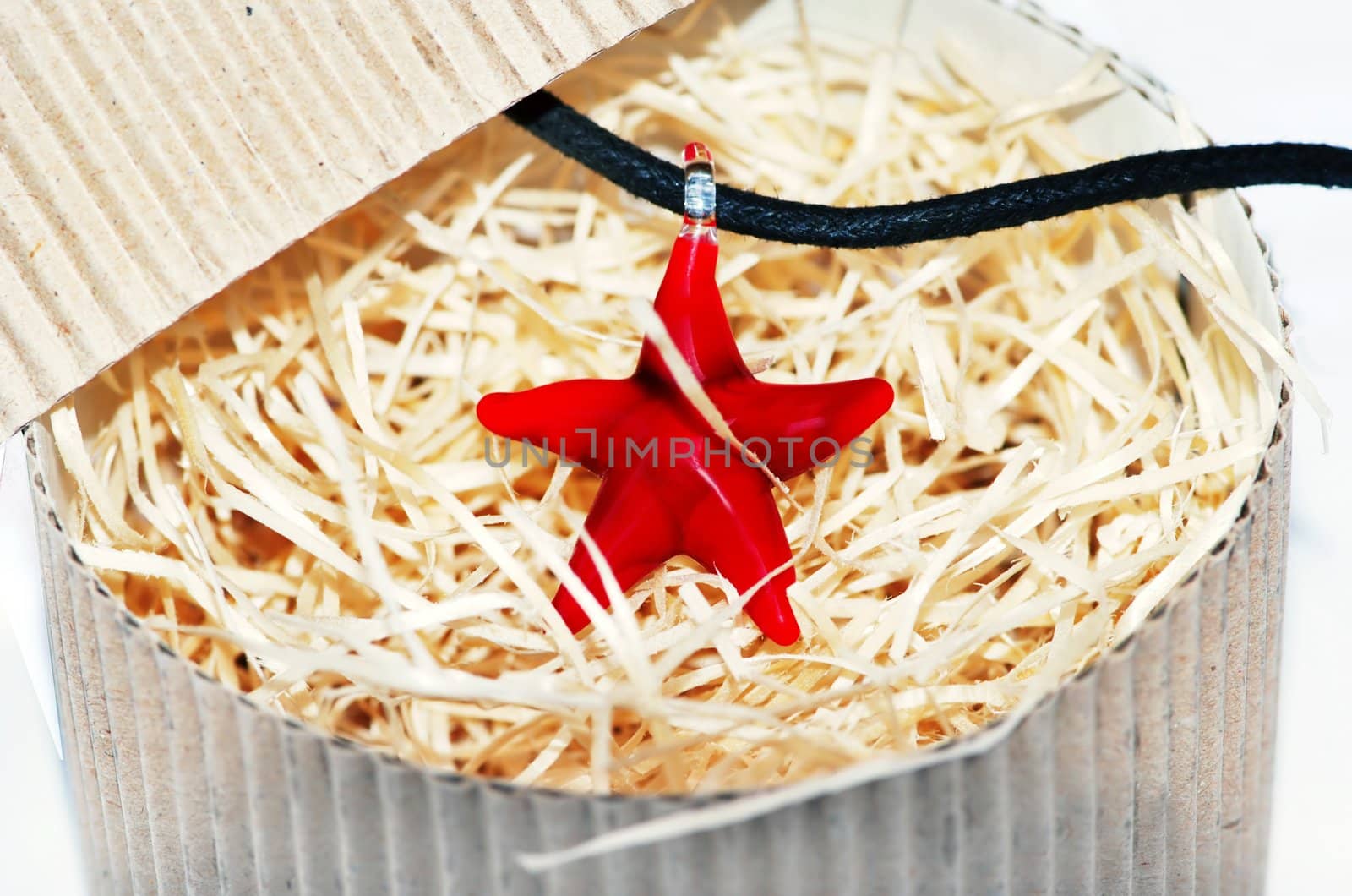 red starfish necklace by simply