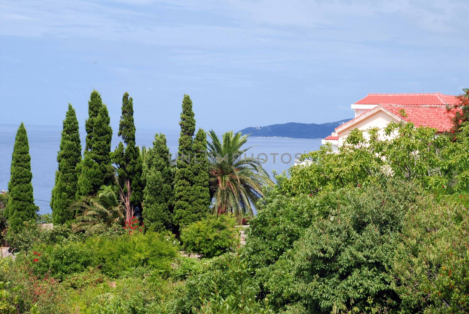 House with red tiled roof in montenegro