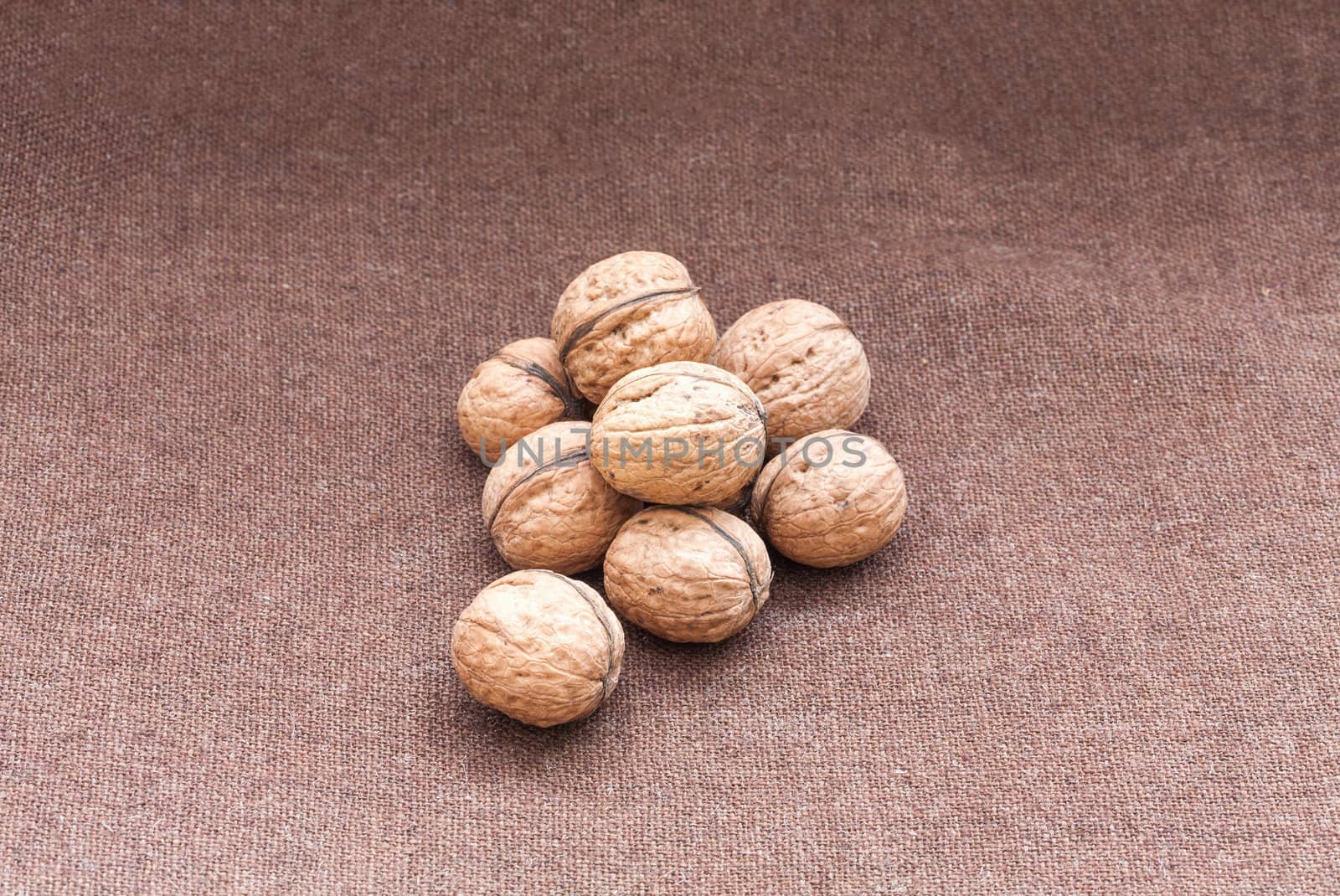 walnuts close up on the burlap background by sfinks