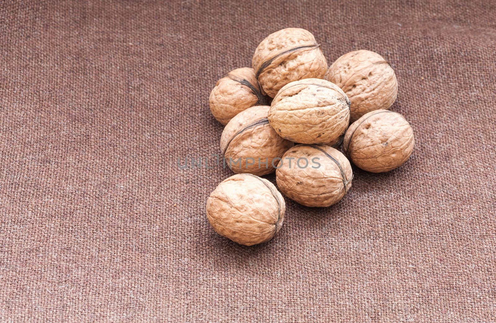 walnuts close up on the burlap background by sfinks