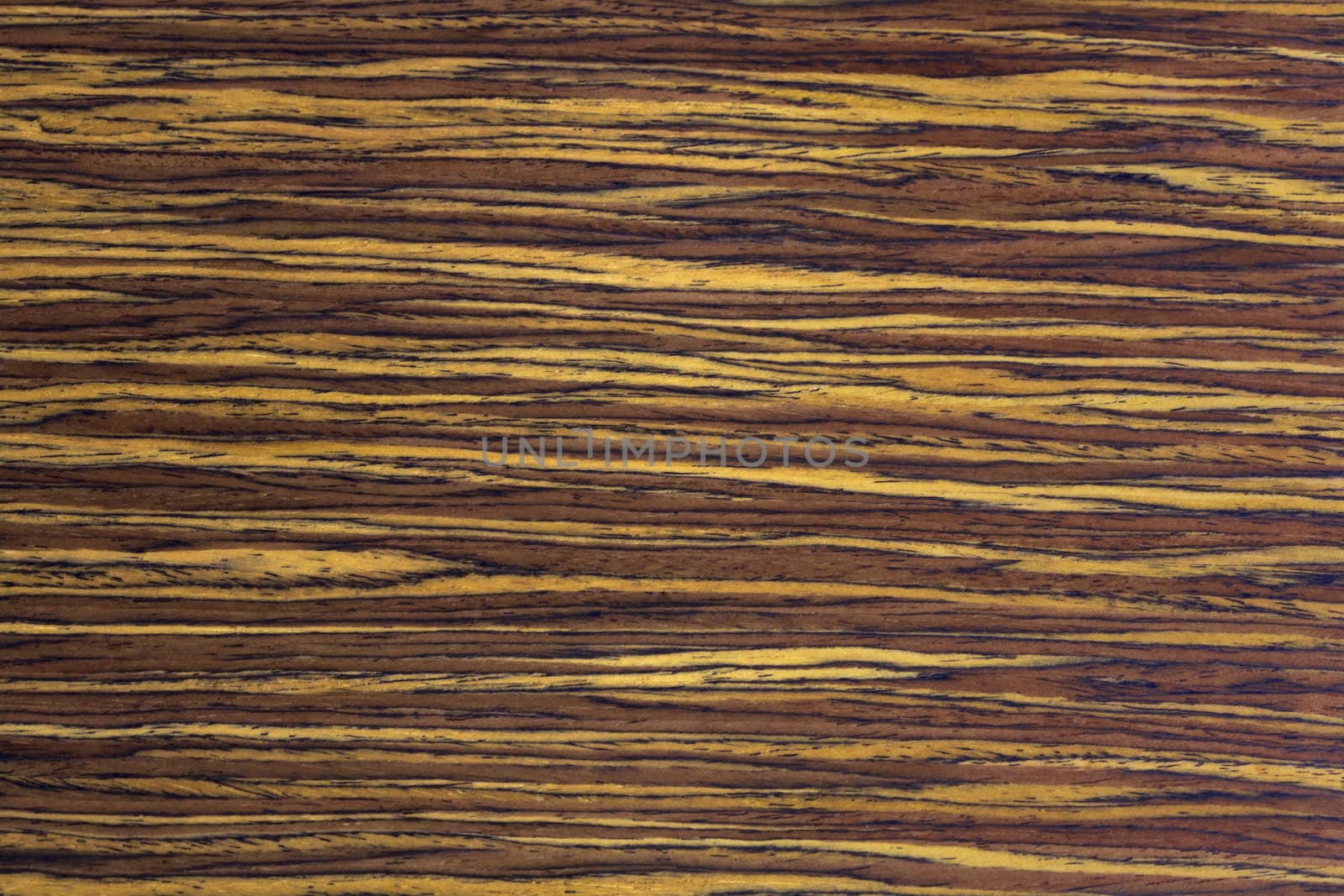 Wood Texture, WALNUT