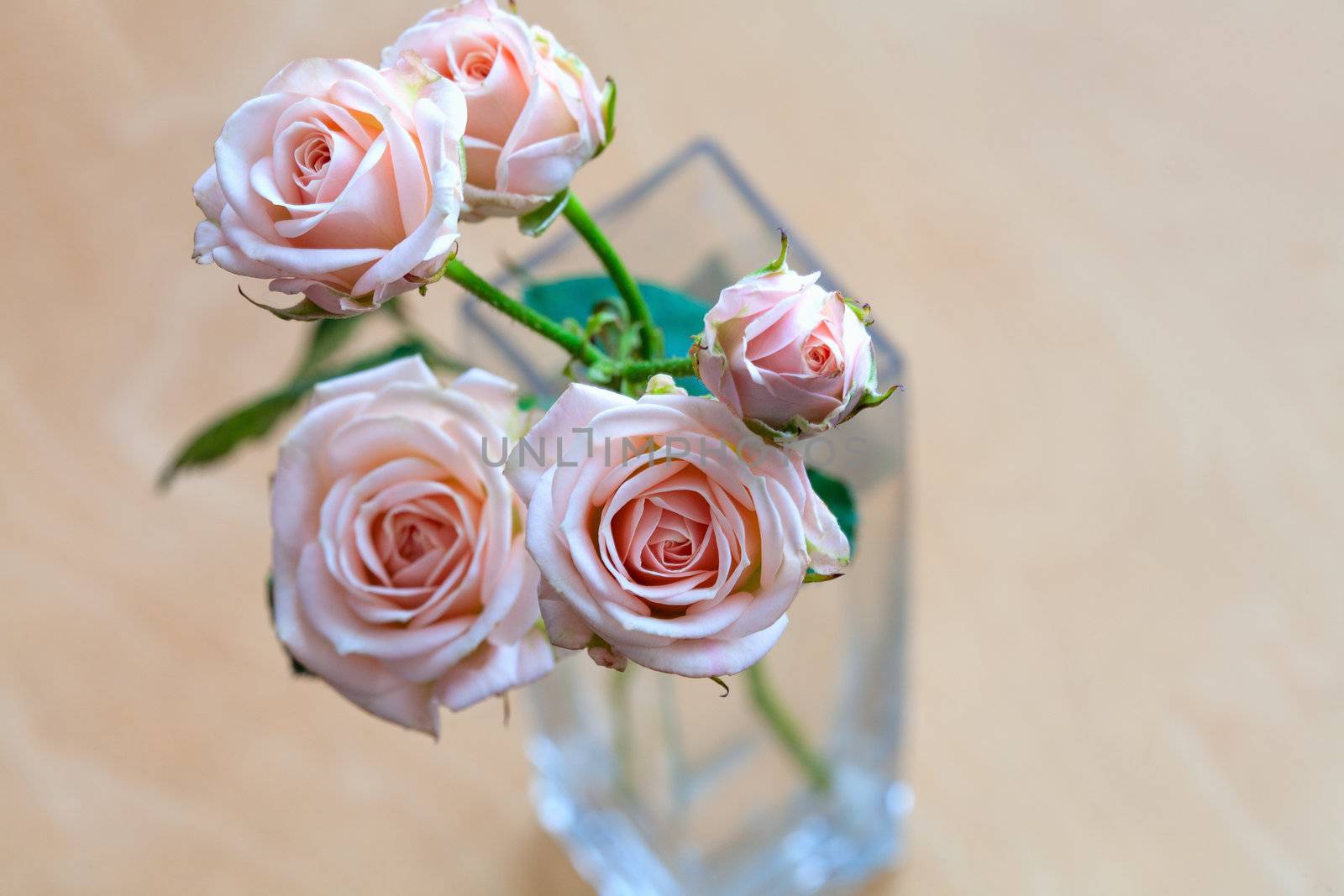 pink roses in a vase on a wooden desk