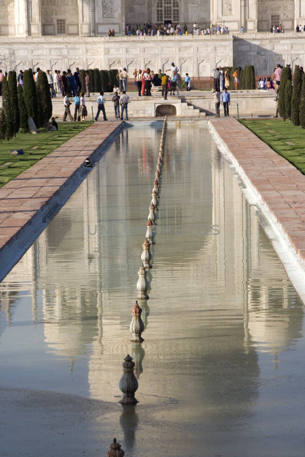 Reflection of the Taj, Agra, India  Taj Mahal