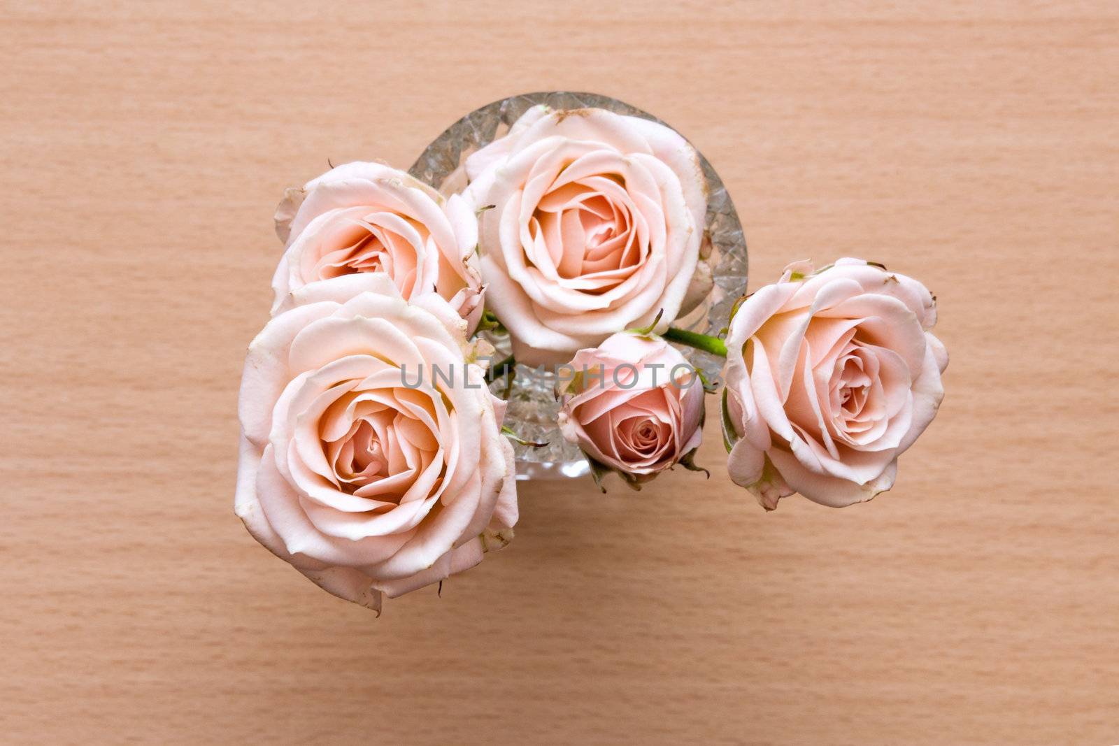 pink roses in a vase on a wooden desk by sfinks