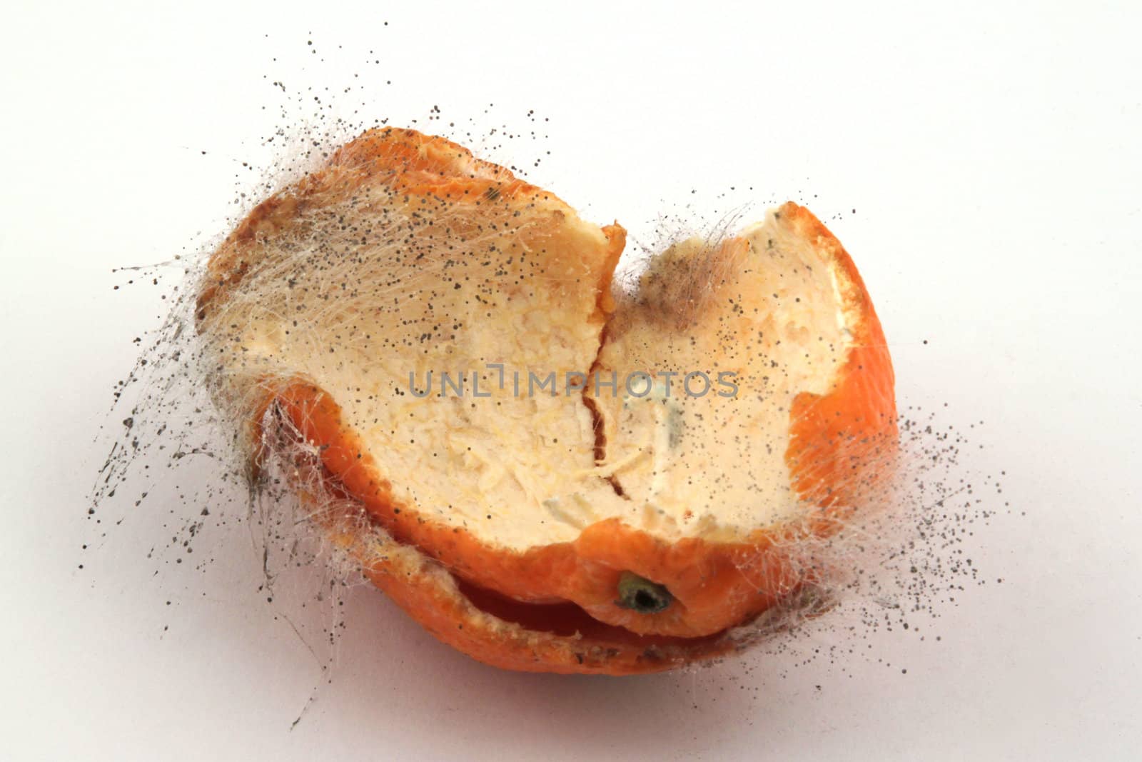 Rotting fruit on a white background.