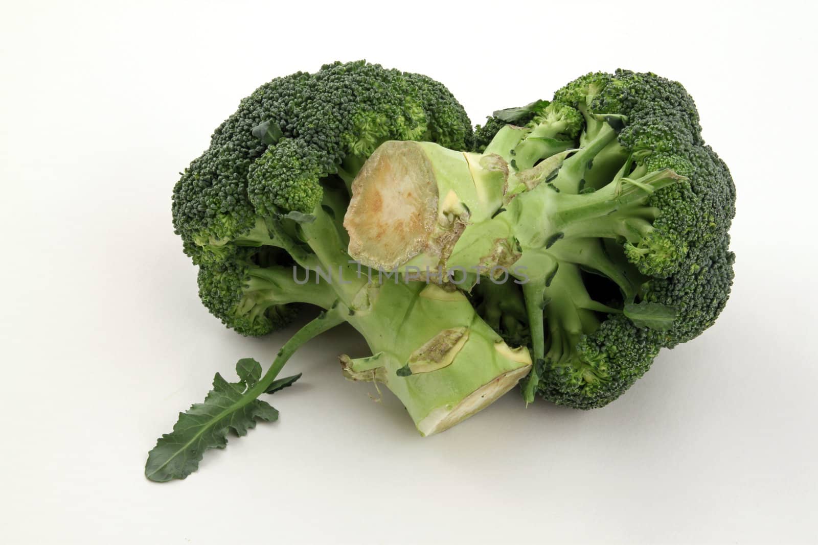 Freshly cut broccoli on a plain white background