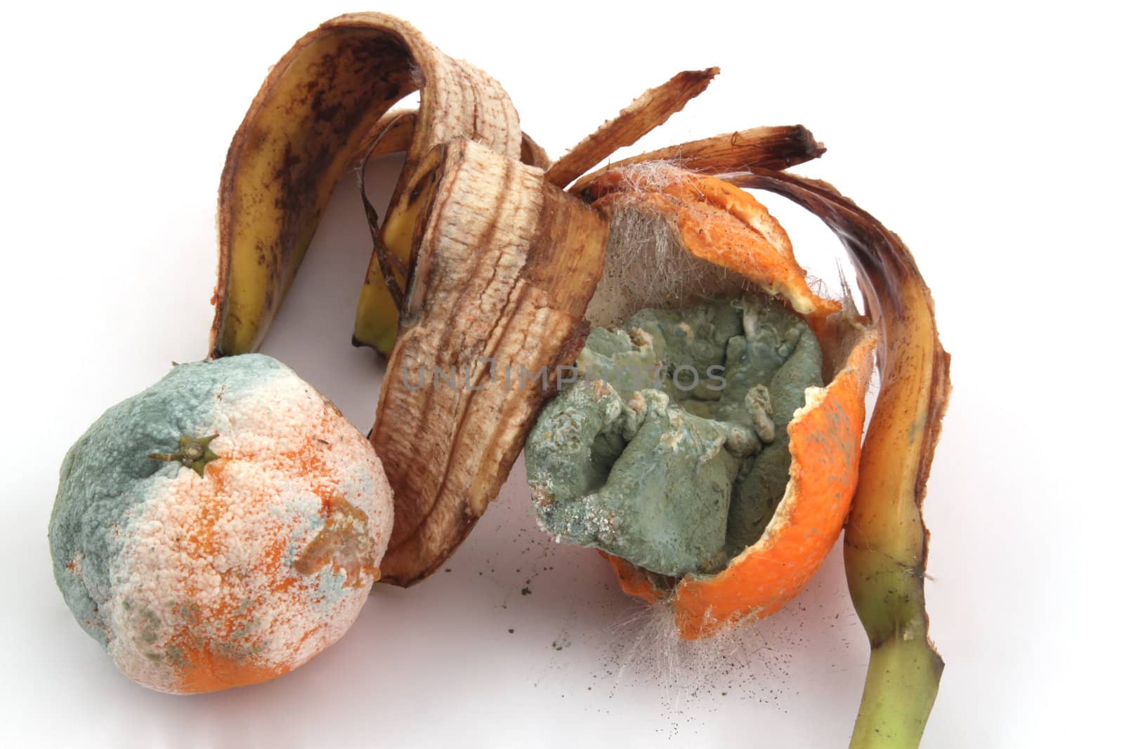 Rotting fruit on a white background.