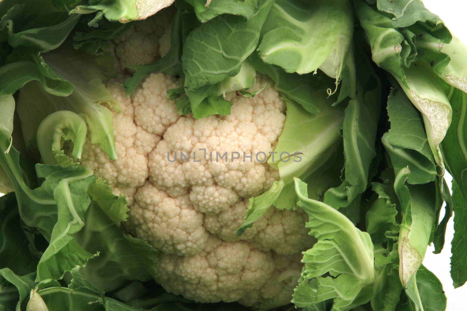 Close up of a cauliflower.