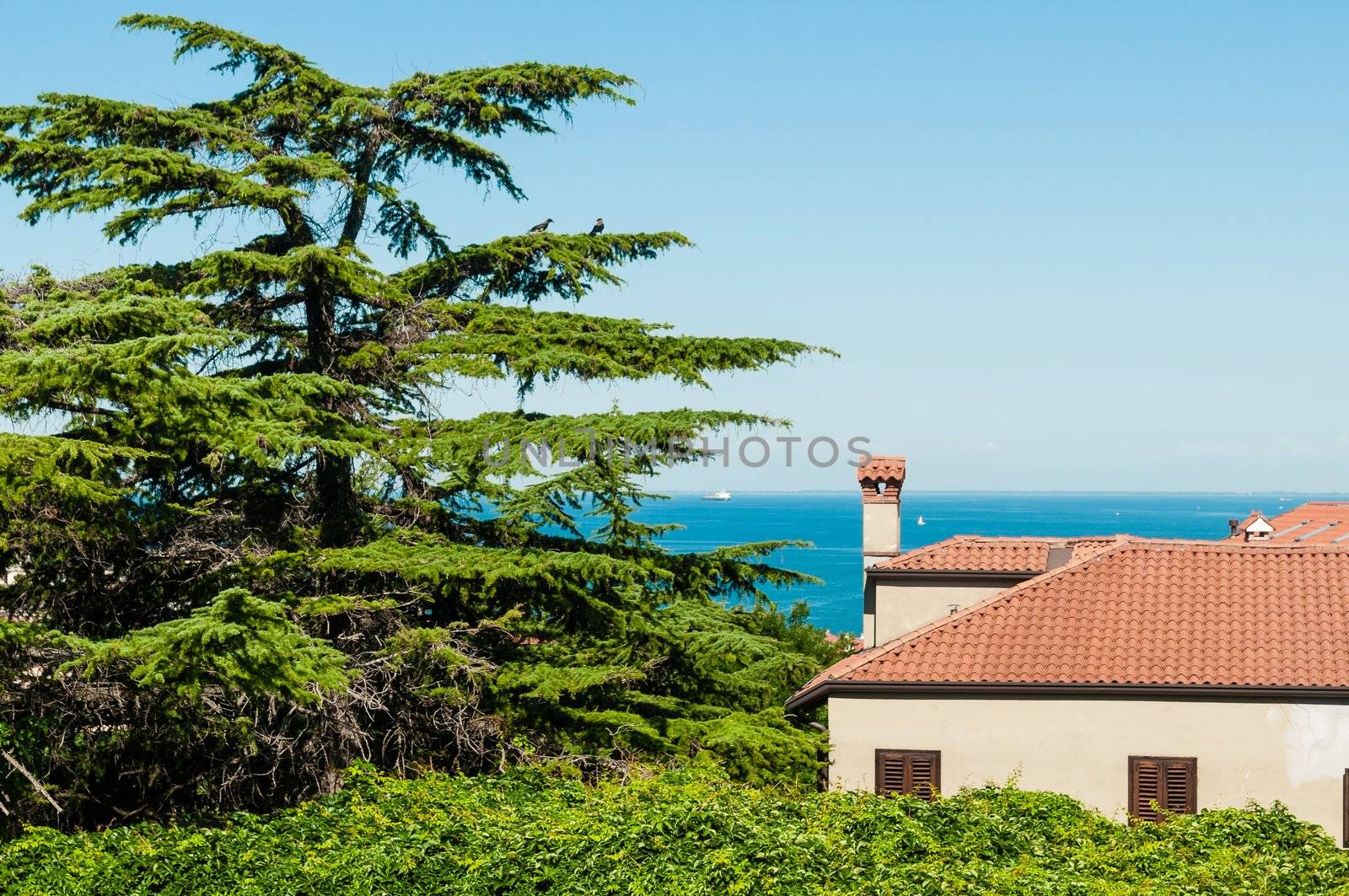 Mediterranean house and sea, taken in trieste, italy