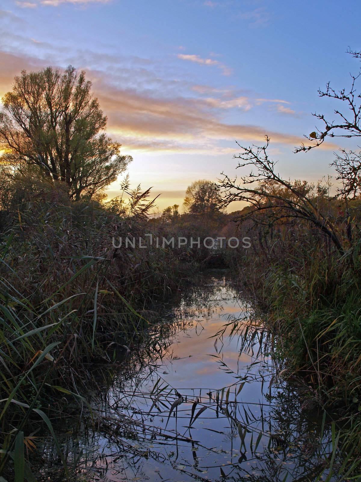 Photo taken on an autumn day at sunset close to the bridge over Great Raveley Drain, at the entrance to Woodwalton fen.