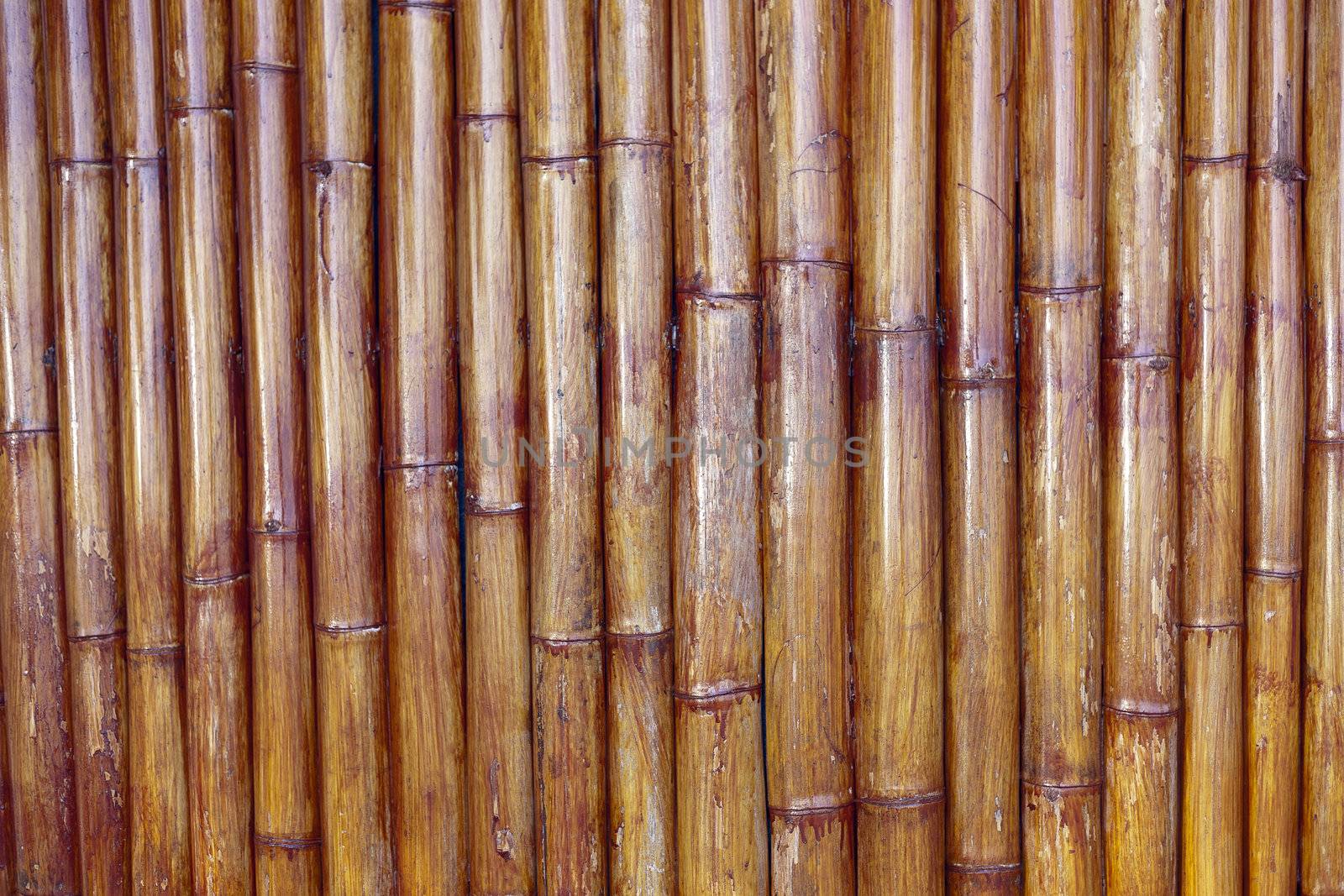 the very old bamboo background for design