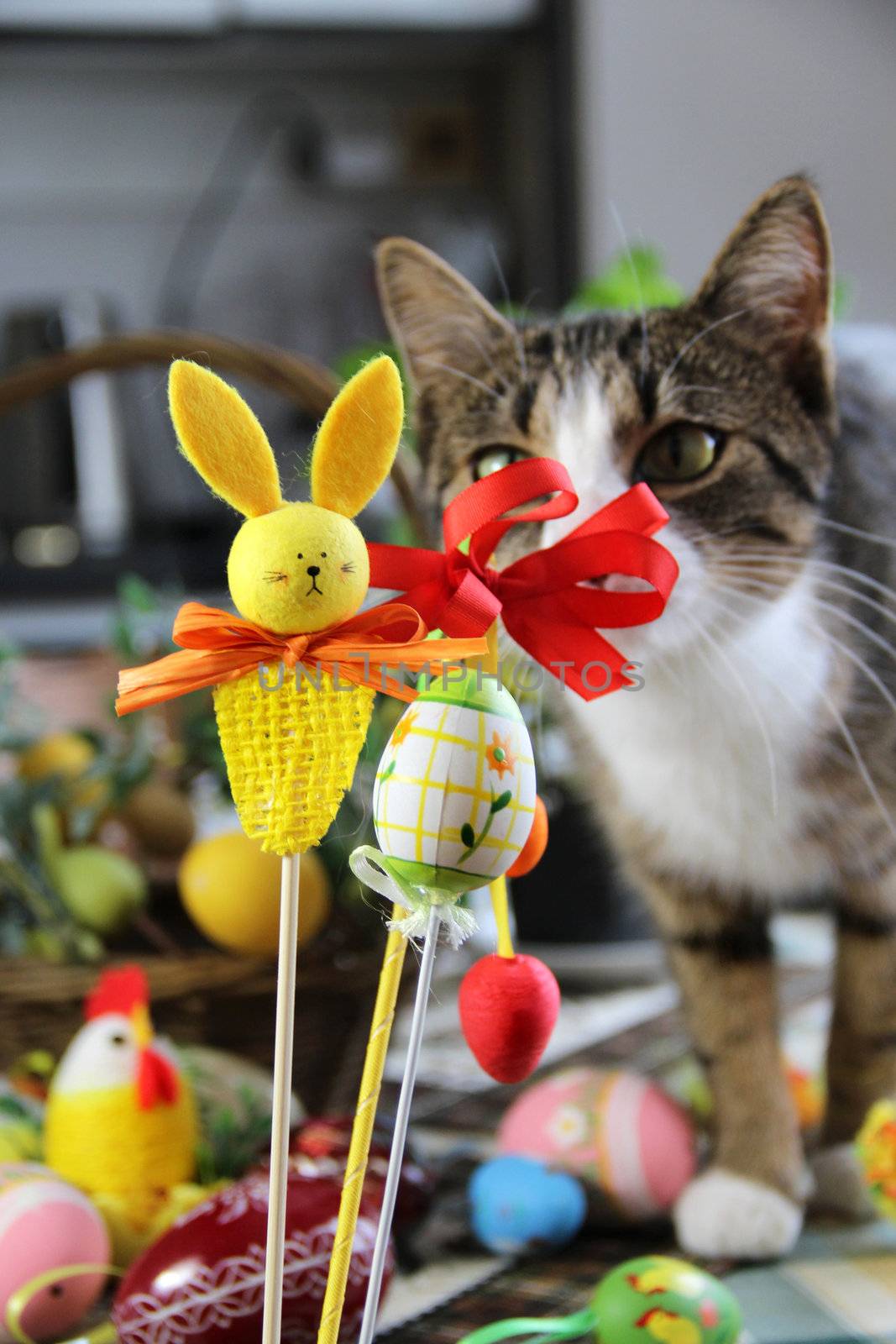 Mix of beautiful handmade Easter colored eggs, rabbit and funny cat