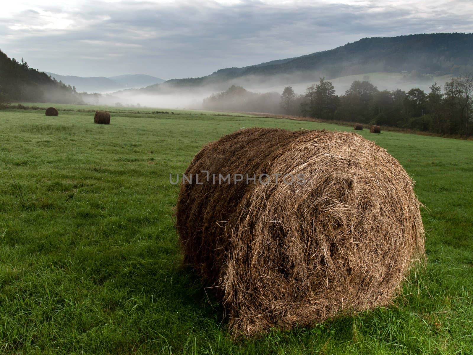 haystacks on meadow by rzoze19