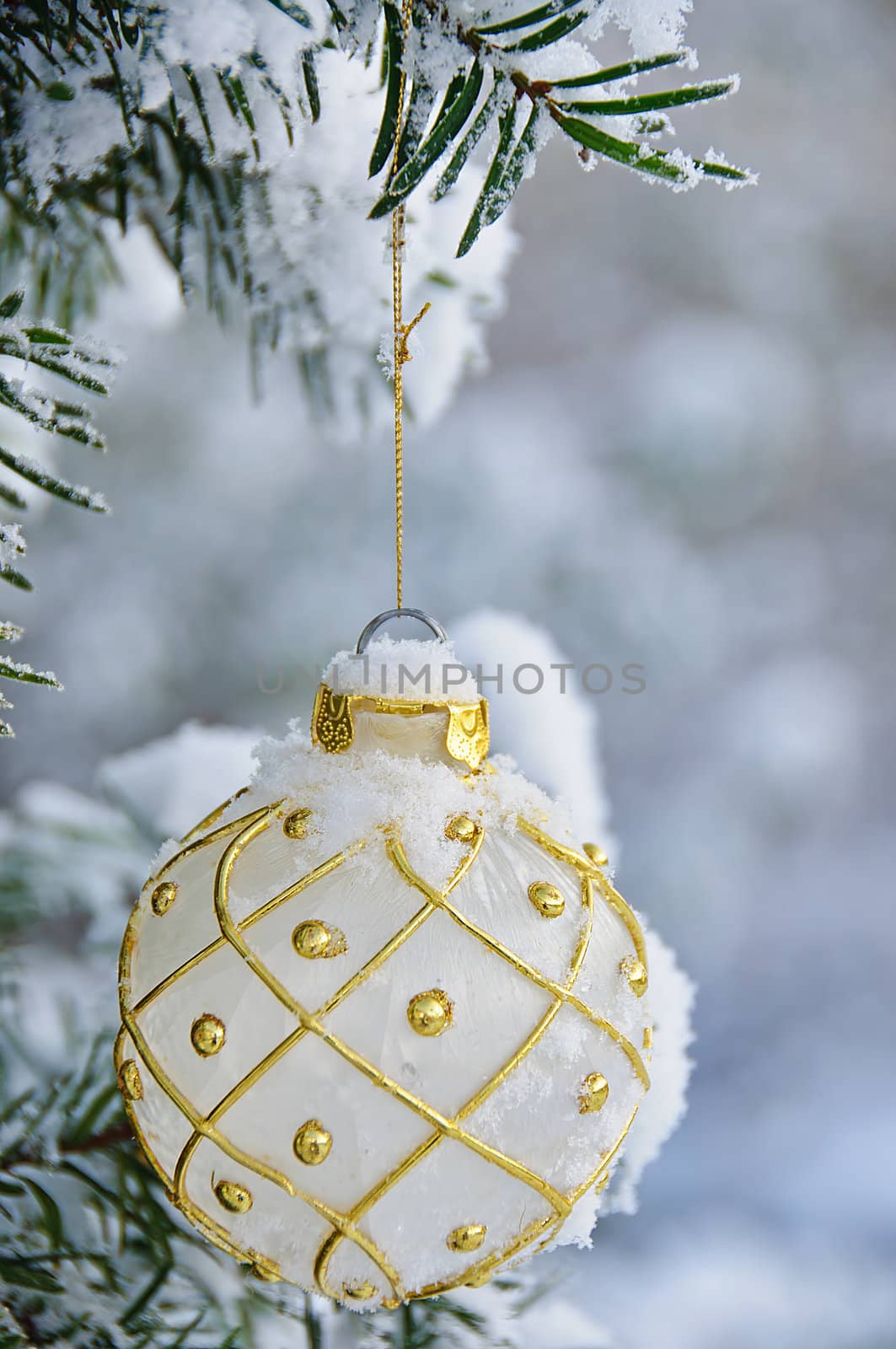 A white christmas bulb, hanging on a snow covered tree