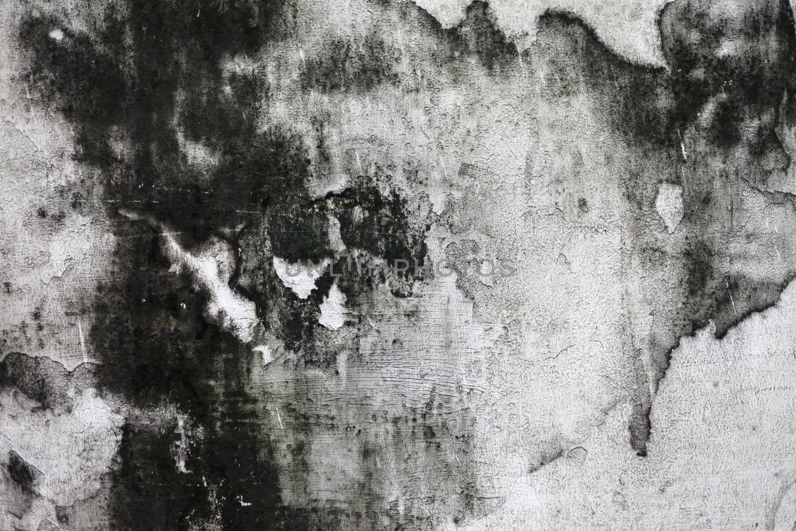 The Grunge cracked concrete wall for design