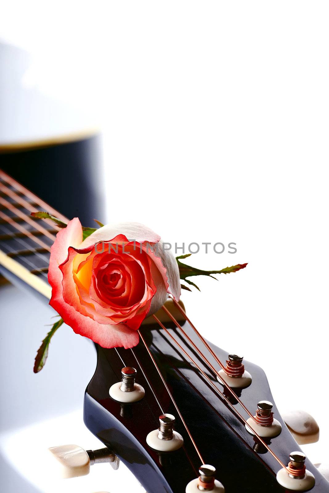 Musical instrument. Detail of a musical instrument. Strings on a guitar.