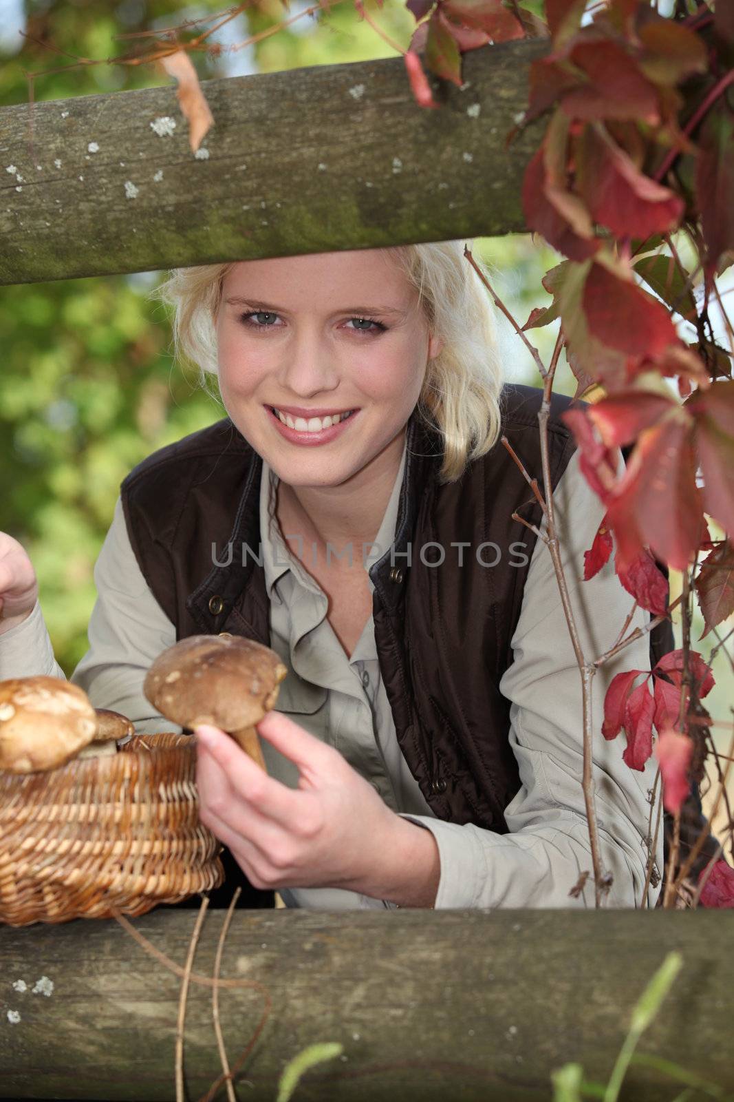 mushroom picking by phovoir