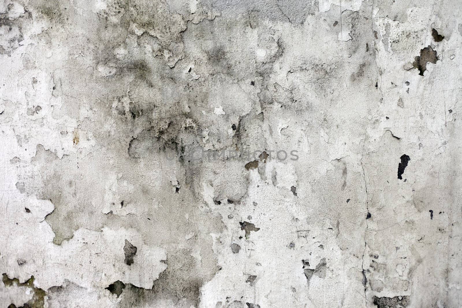 The Background from high detailed fragment stone wall