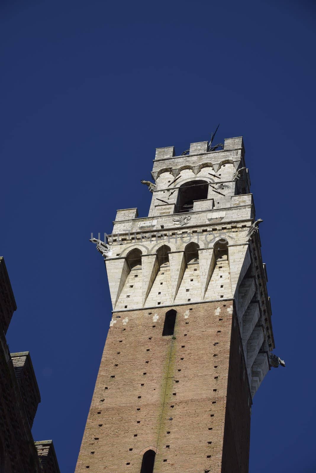 Torre del Mangia (Siena) by mizio1970