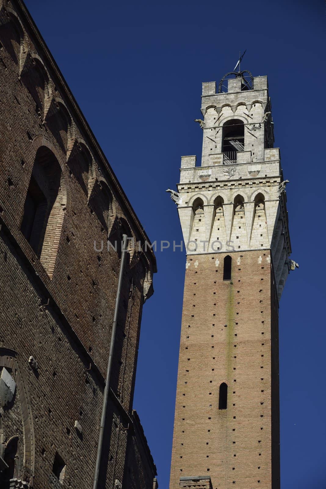 Torre del Mangia (Siena) by mizio1970