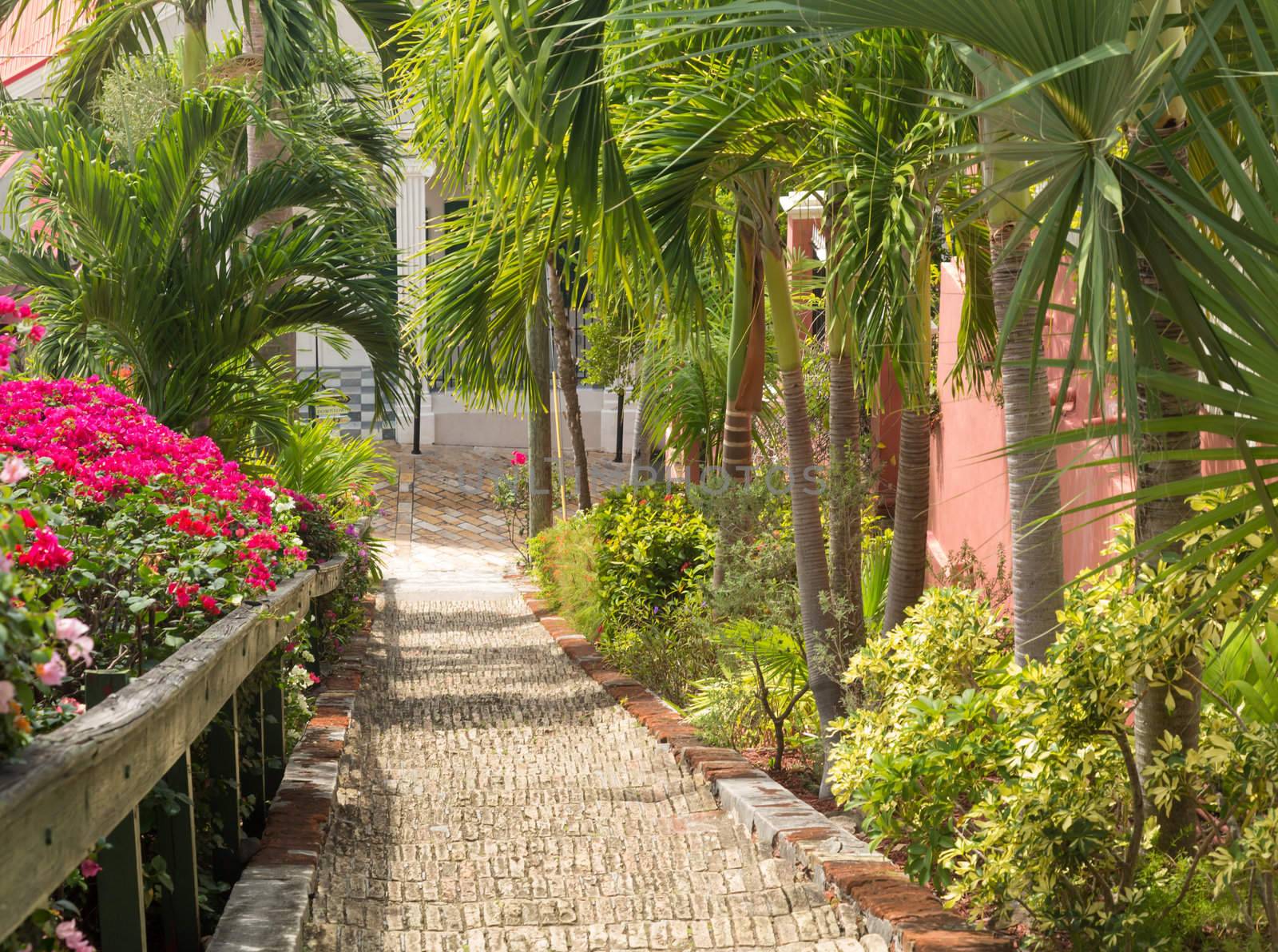 Ninety nine steps framed by red flower blossom in Charlotte Amalie St Thomas