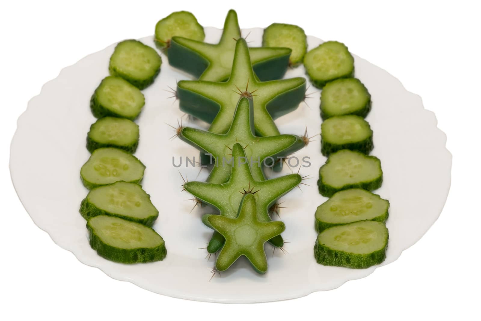 star of cactus on plate  isolated on white background 