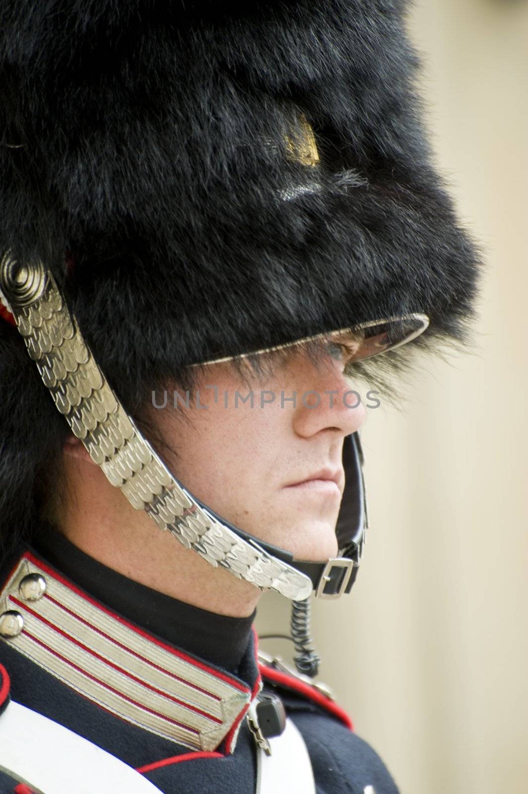 Copenhagen, Denmark -August 2011. Denmark Royal Guard.
