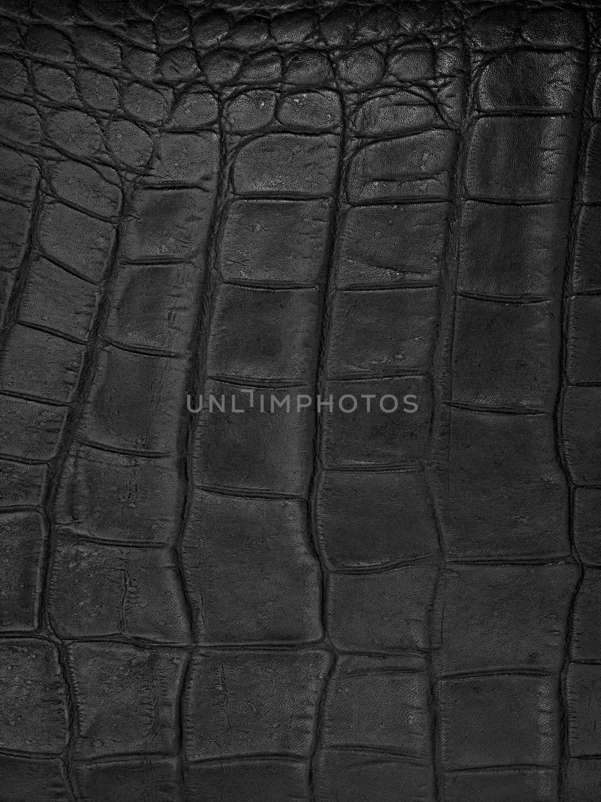 A close up shot of leather hide