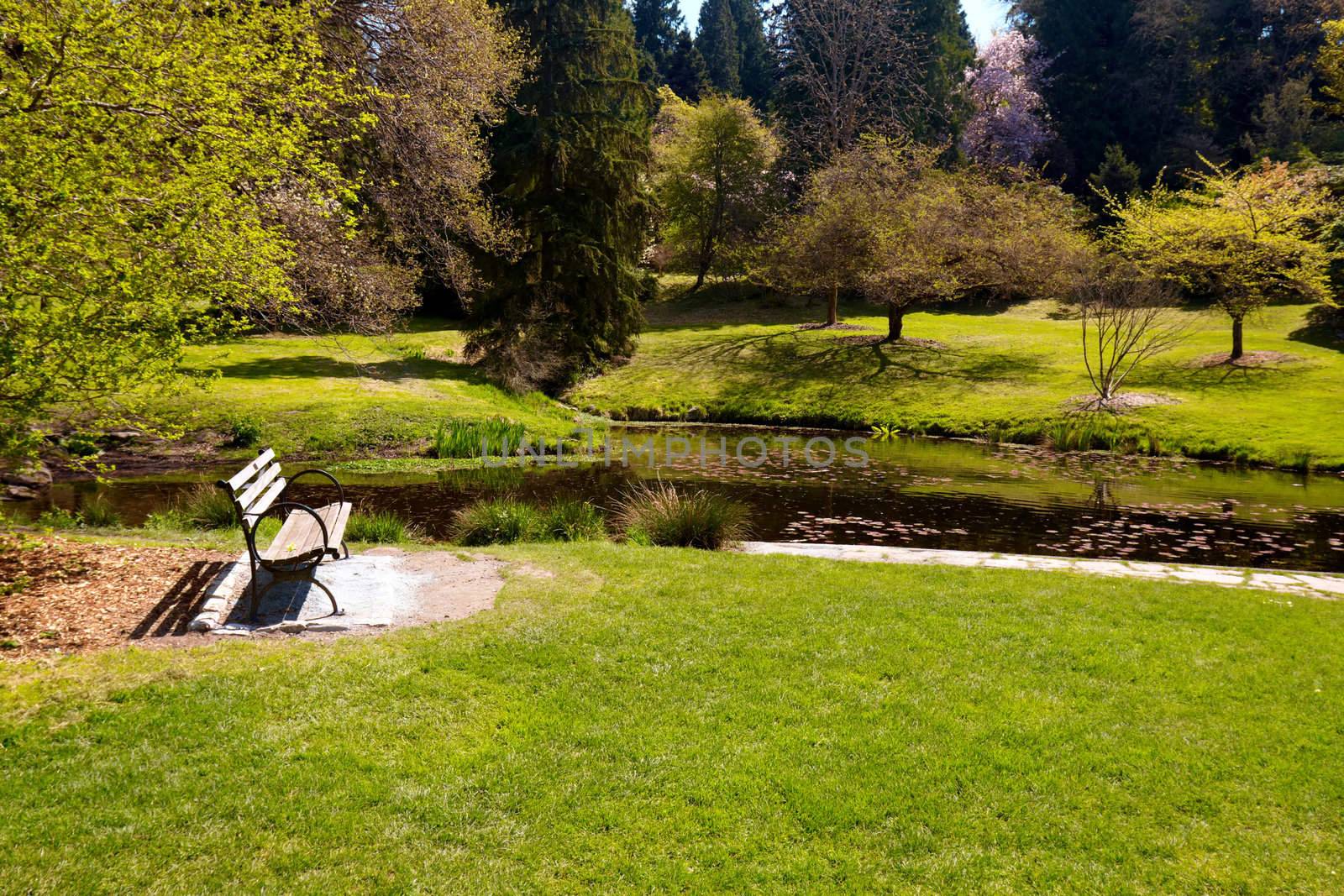 serene landscape - bench and pond in Seattle Arboretum, Washington, USA