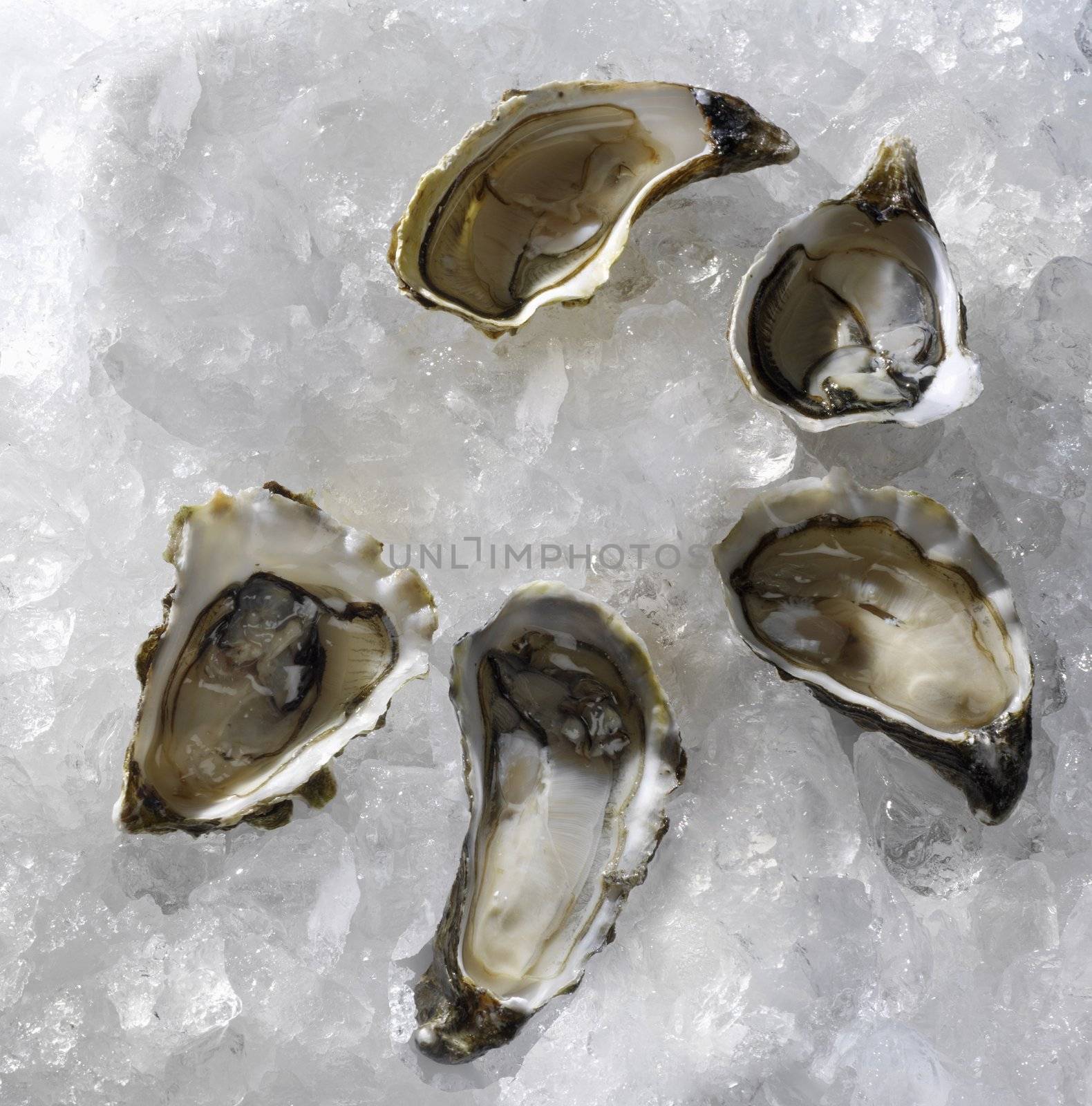 fresh oysters traditional wedding breakfast