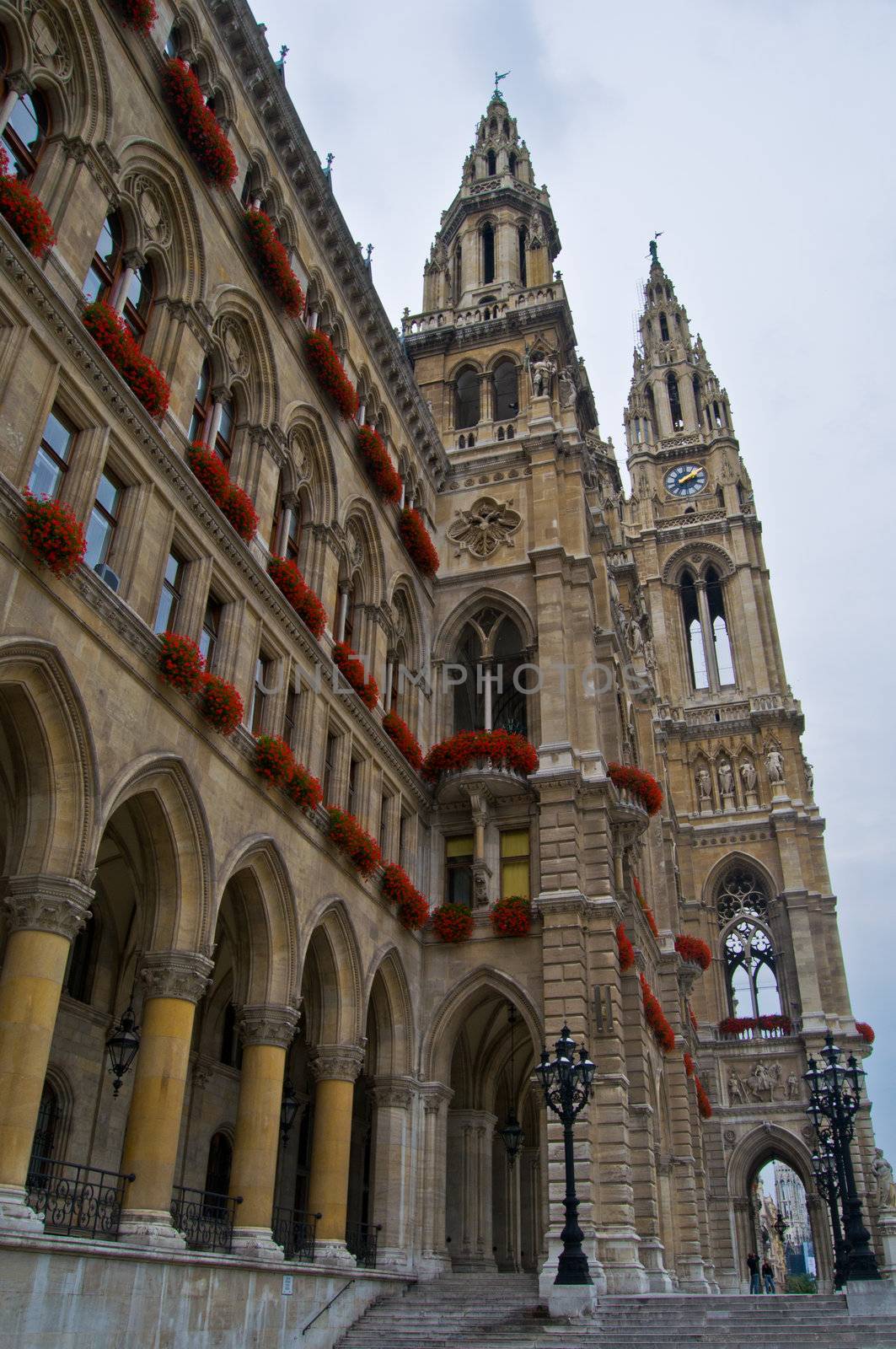 City hall of Vienna by Jule_Berlin