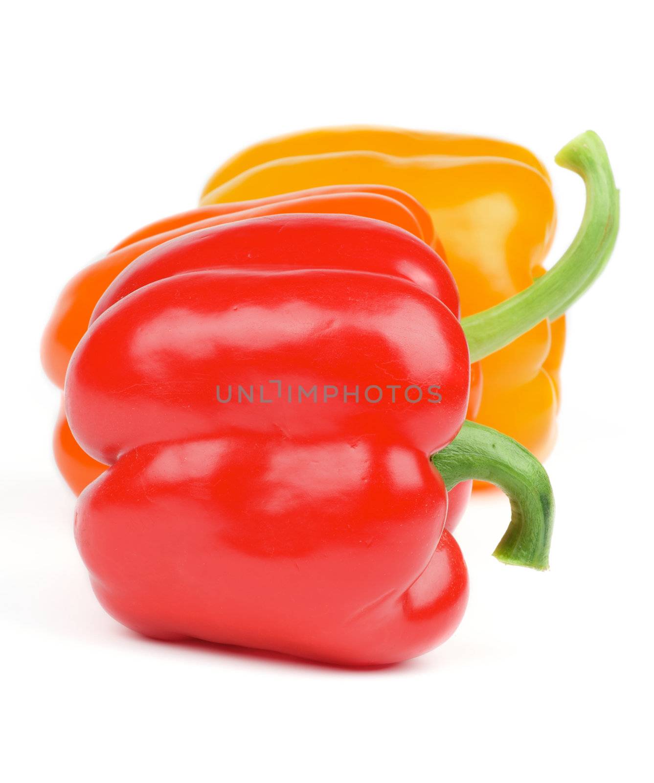 Red, Orange and Yellow Bell Peppers in a Row isolated on white background