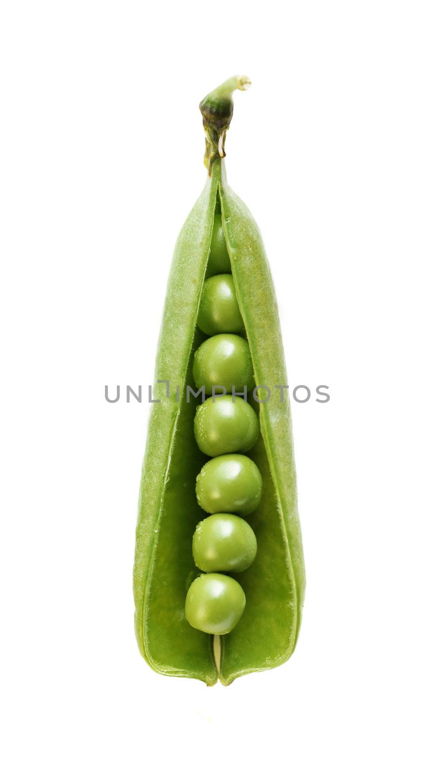 peas isolated on white by ozaiachin